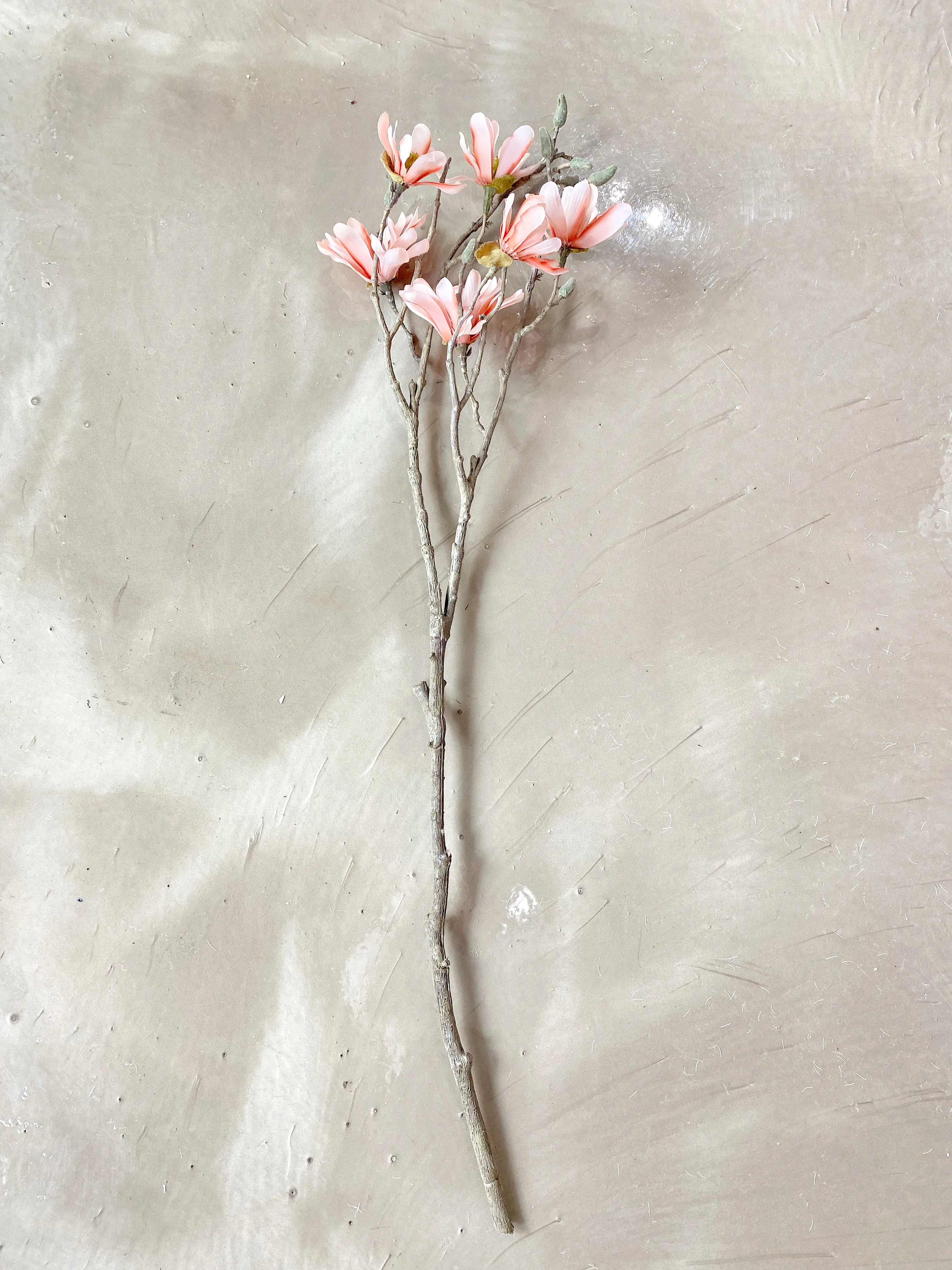 Blush Magnolia Stem