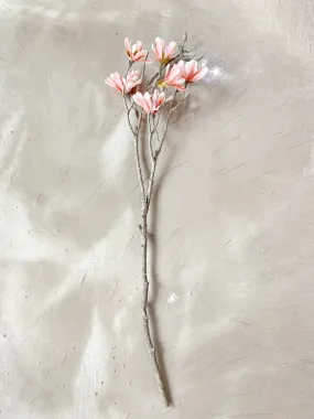 Blush Magnolia Stem