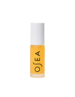 Hyaluronic Lip Booster